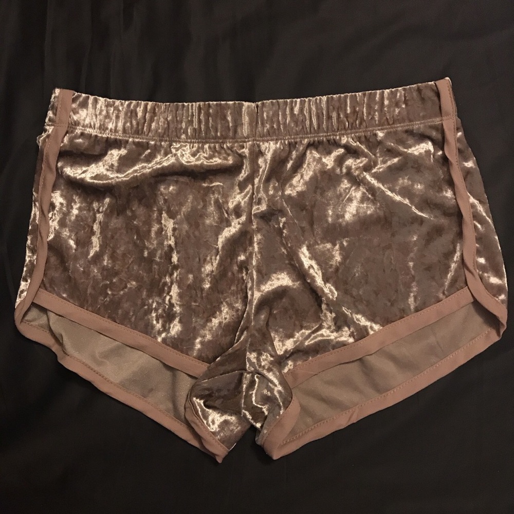 Brand new pacsun shorts